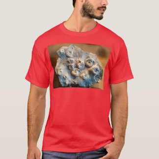 Grammoceras doertenense Ammonit Fossil T-Shirt