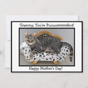 Grammy, du bist puurfect! Tiger Cat Mother Day Feiertagskarte