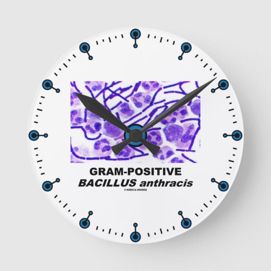 Grampositiver Bazillus Anthracis (Bakterien) Runde Wanduhr (Vorderseite)