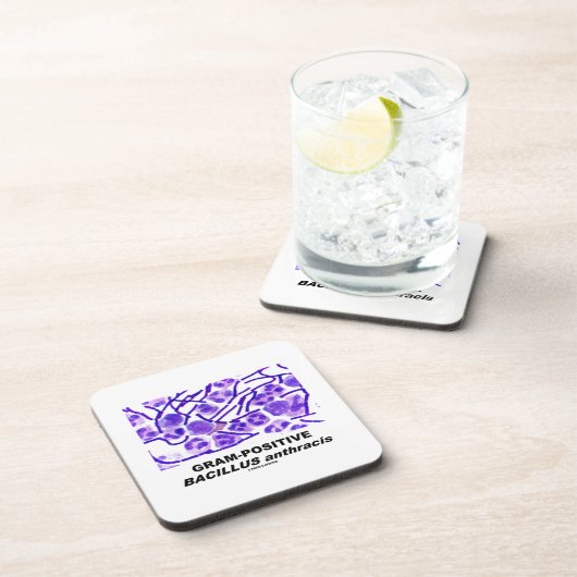 Grampositiver Bazillus Anthracis (Bakterien) Untersetzer (Rechte Seite)