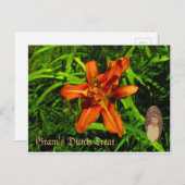 Grams holländische Leckerei Postkarte (Vorne/Hinten)