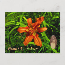 Grams holländische Leckerei Postkarte