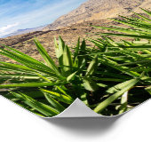 Gran Canary Mountain Landscape Poster (Ecke)