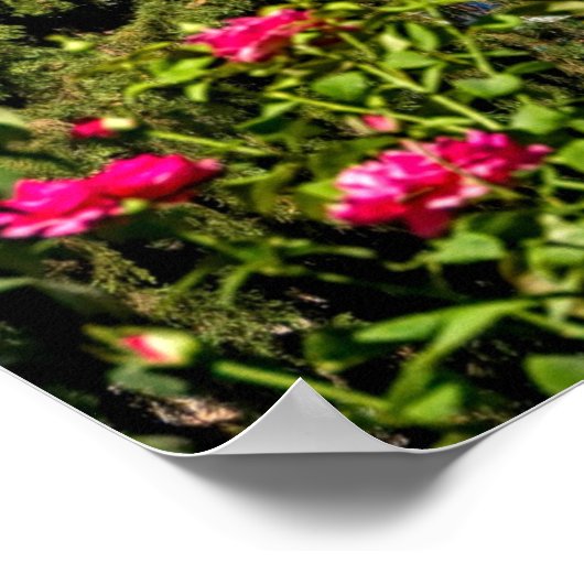 Granada, Andalusien, Spanien Poster (Ecke)