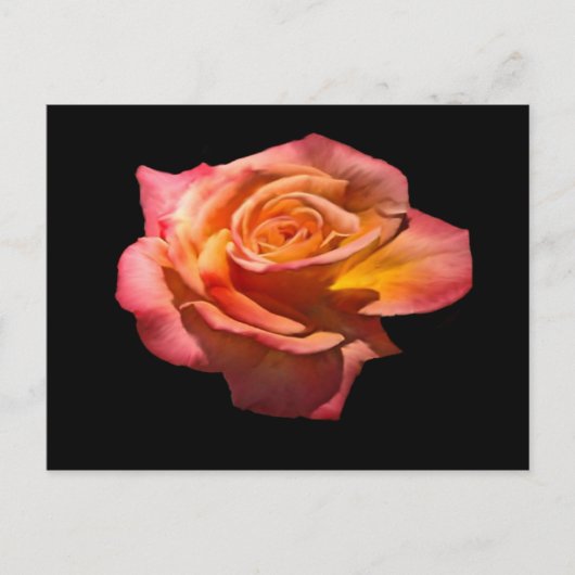 Granada Tea Rose Postkarte (Vorderseite)