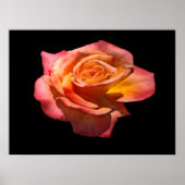 Granada Tee Rose Print Poster (Vorne)