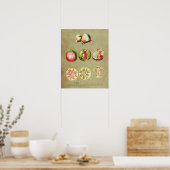 Granatäpfel 1 poster (Küche)