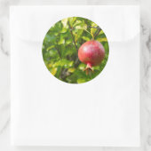 Granatäpfel auf Zweigstelle Runder Aufkleber (Tasche)
