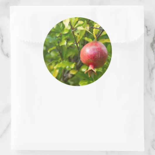 Granatäpfel auf Zweigstelle Runder Aufkleber (Tasche)