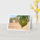 Granatäpfel aus Baum Karte (Gelbe Blume)