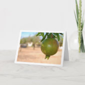 Granatäpfel aus Baum Karte (Vorderseite)