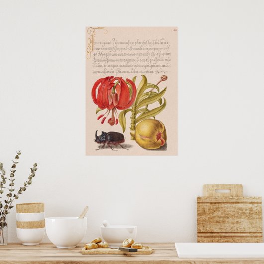 Granatapfel, Blume, Obst und Rhinozeros Poster (Küche)