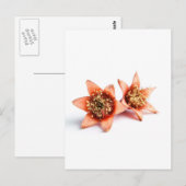 Granatapfel-Blume Postkarte (Vorne/Hinten)