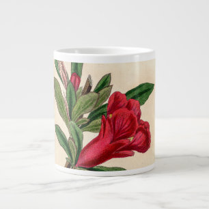 Granatäpfel-Blume - Vintage Illustrationsdetails Jumbo-Tasse