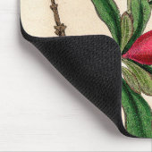 Granatäpfel-Blume - Vintage Illustrationsdetails Mousepad (Ecke)