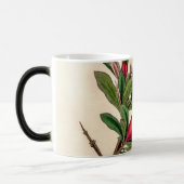 Granatäpfel-Blume - Vintage Illustrationsdetails Verwandlungstasse (Links)