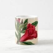 Granatäpfel-Blume - Vintage Illustrationsdetails Verwandlungstasse (Mittel)