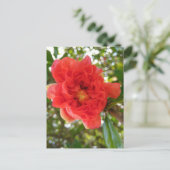 Granatapfel-Blumen-Postkarte Postkarte (Stehend Vorderseite)