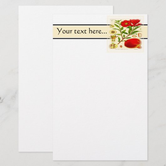 Granatapfel Briefpapier (Vorne/Hinten)