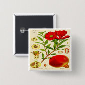 Granatapfel Button (Vorne & Hinten)