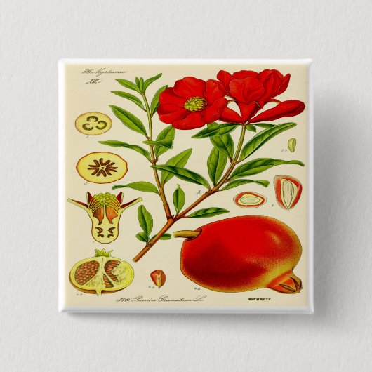 Granatapfel Button (Vorderseite)