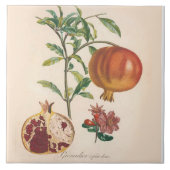 Granatapfel-dekorativer Fliese (Vorderseite)