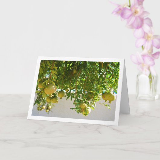 Granatäpfel, die von Bäumen herumhängen Karte (Orchidee)