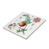 Granatapfel Fliese (Seite)