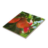Granatapfel Fliese (Seite)