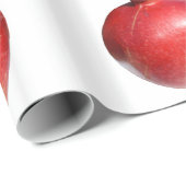 Granatapfel Geschenkpapier (Rolleneckpunkt)