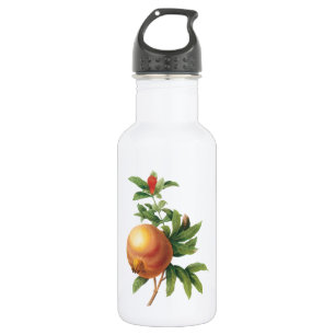 Granatapfel (Grenadier punica) von Redouté Trinkflasche