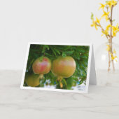 Granatäpfel im Tree Portrait Karte (Gelbe Blume)