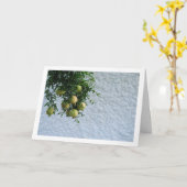 Granatäpfel in Bäumen, Portrait der weißen Mauer Karte (Gelbe Blume)