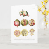 Granatapfel Karte (Gelbe Blume)