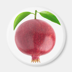 Granatapfel Magnet