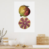 GRANATAPFEL Obst botanischer Poster (Küche)