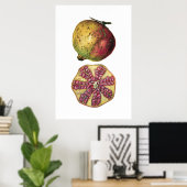 GRANATAPFEL Obst botanischer Poster (Heimbüro)