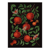 Granatäpfel Poster (Vorderseite)