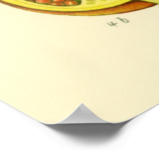 Granatapfel Poster (Ecke)