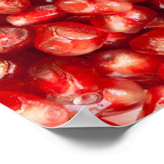 Granatapfel Poster (Ecke)