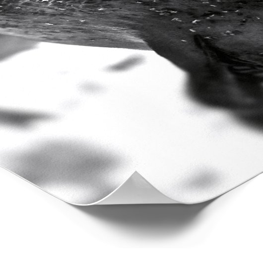 Granatapfel Poster (Ecke)