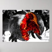 Granatapfel Poster (Vorne)