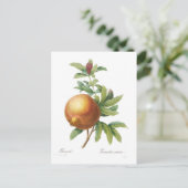 Granatapfel Postkarte (Stehend Vorderseite)