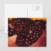 Granatapfel Postkarte (Vorne/Hinten)
