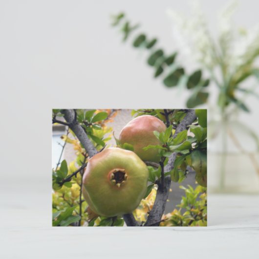 Granatapfel Postkarte (Stehend Vorderseite)