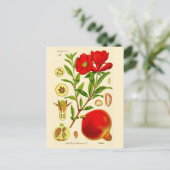 Granatapfel Postkarte (Stehend Vorderseite)