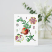 Granatapfel Postkarte (Stehend Vorderseite)
