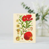 Granatapfel Postkarte (Stehend Vorderseite)