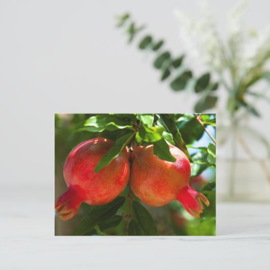 Granatapfel Postkarte (Stehend Vorderseite)