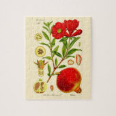 Granatapfel Puzzle (Vertikal)